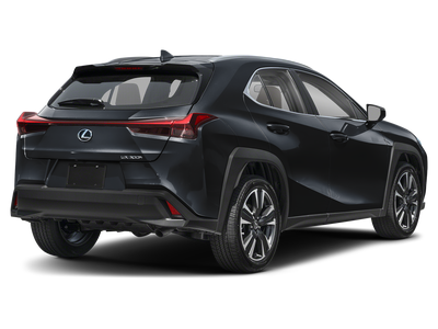 2025 Lexus UX UX 300h