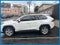 2019 Toyota RAV4 Hybrid XLE