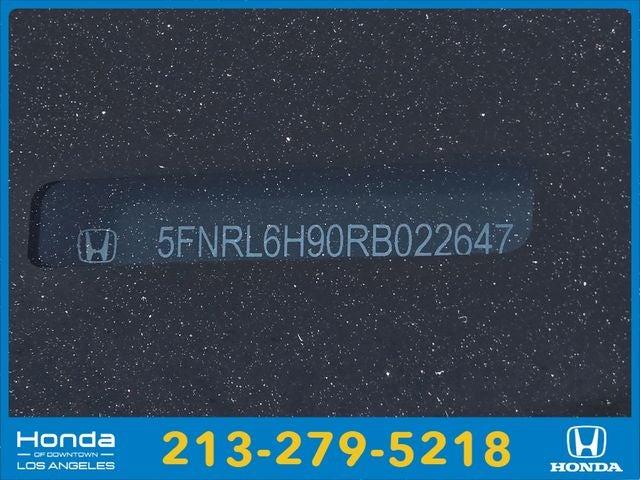 2024 Honda Odyssey Elite