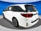 2027 Honda Odyssey Elite